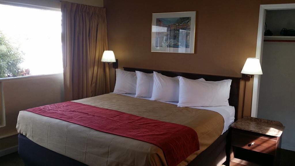 The Palms On Ocean Motel Pompano Beach Phòng bức ảnh