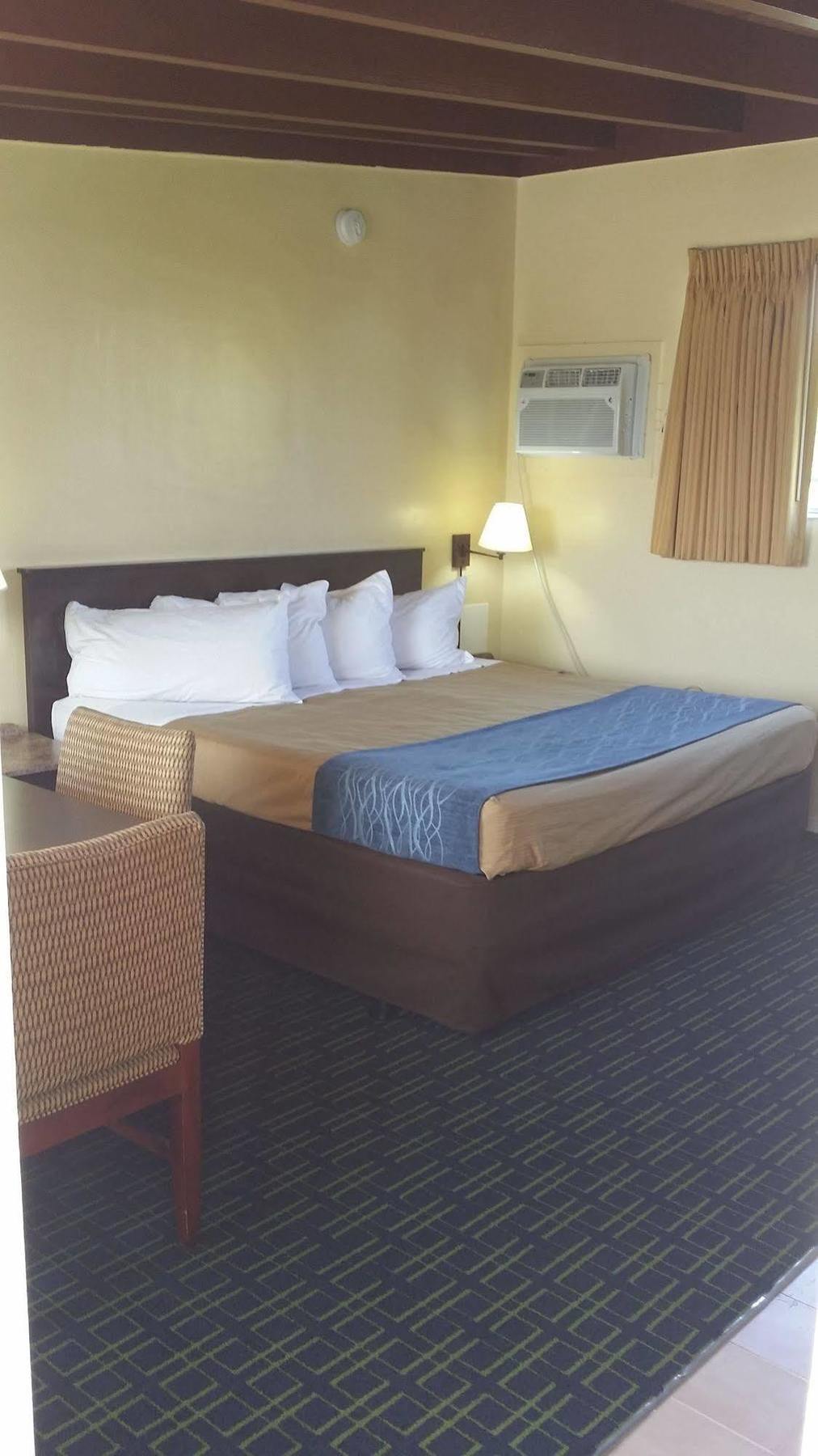 The Palms On Ocean Motel Pompano Beach Ngoại thất bức ảnh