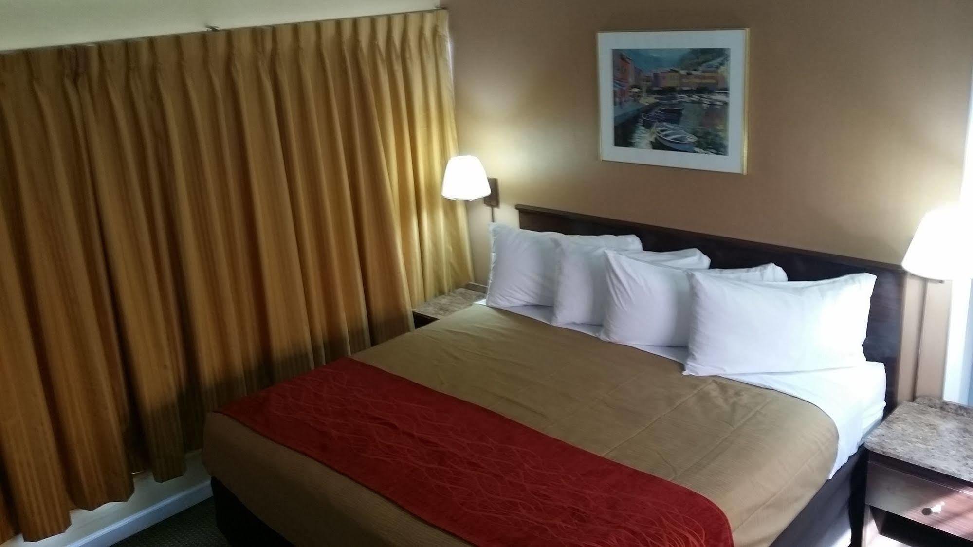 The Palms On Ocean Motel Pompano Beach Ngoại thất bức ảnh