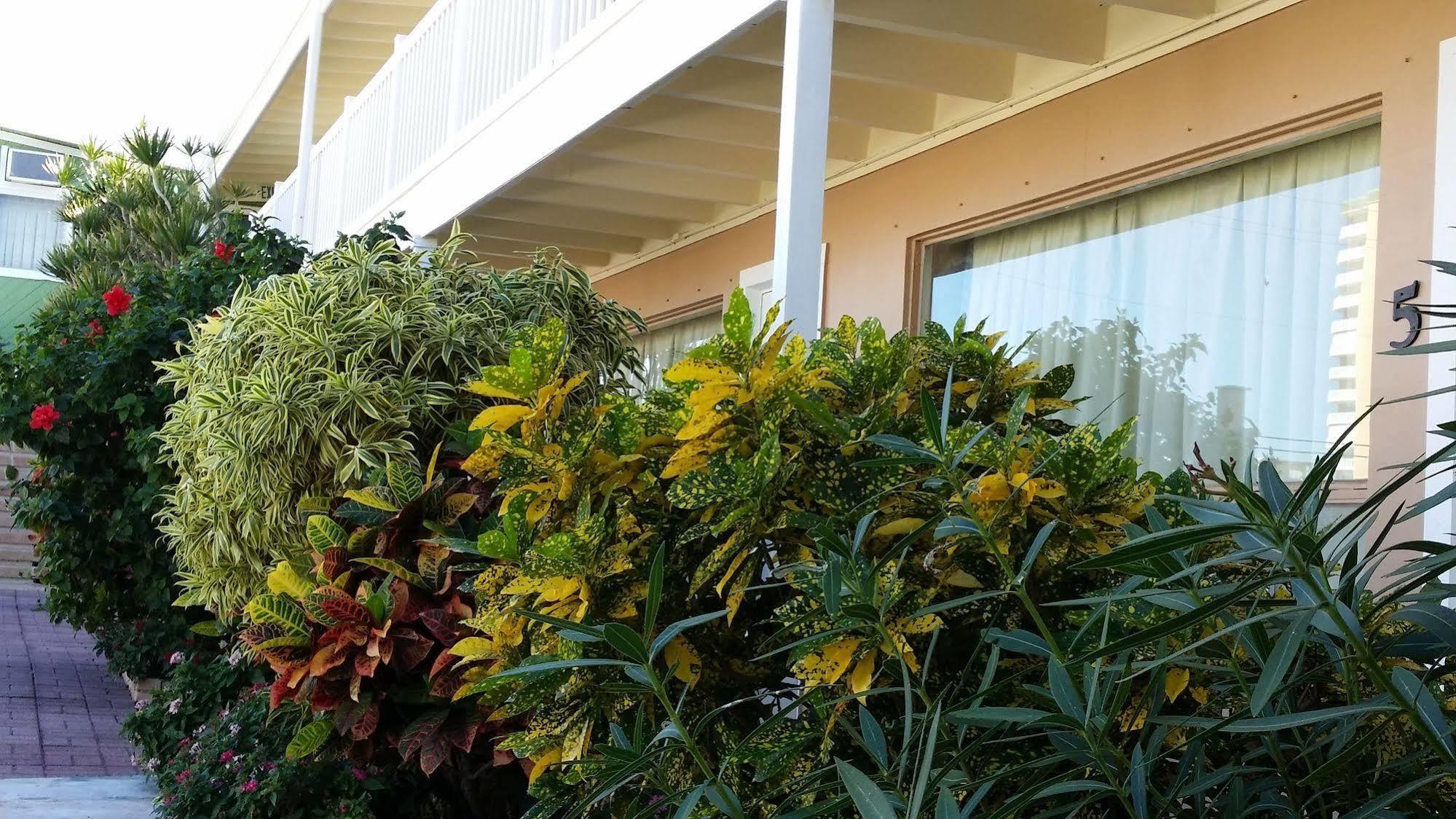 The Palms On Ocean Motel Pompano Beach Ngoại thất bức ảnh